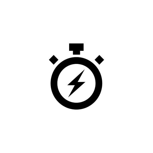 Priority Processing (2-3 days delivery)
